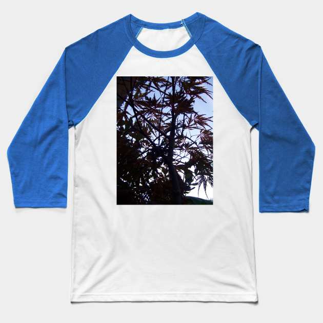 Silhouette of Maroon Maple Tree Baseball T-Shirt by SomewhereHere